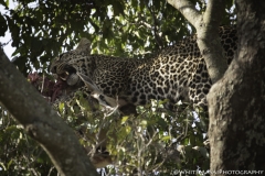 Tanzania_March2018-6777