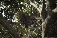 Tanzania_March2018-6787