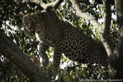 Tanzania_March2018-6863