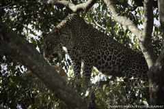 Tanzania_March2018-6884