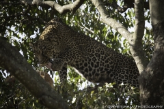 Tanzania_March2018-6887