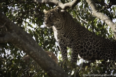 Tanzania_March2018-6901