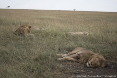 Tanzania_March2018-7276