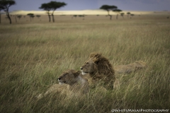 Tanzania_March2018-7376-2