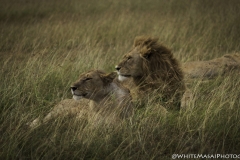 Tanzania_March2018-7376