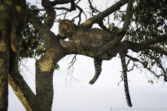 Tanzania_March2018-7491