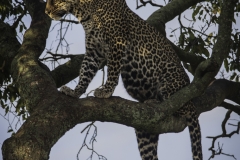 Tanzania_March2018-7540 - Copy