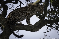 Tanzania_March2018-7556 - Copy