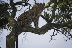 Tanzania_March2018-7565