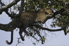 Tanzania_March2018-7638