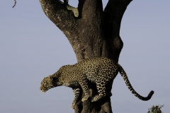 Tanzania_March2018-7692