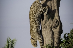 Tanzania_March2018-7700