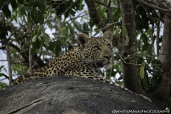 Tanzania_March2018-7801