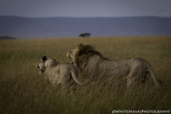 Tanzania_March2018-7884