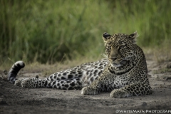 Tanzania_March2018-7922