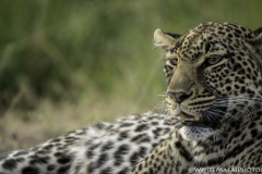 Tanzania_March2018-7948-2