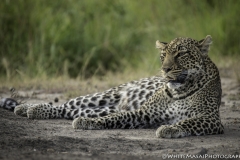 Tanzania_March2018-7948