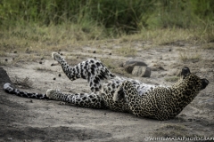 Tanzania_March2018-7979