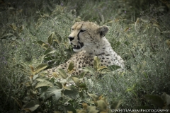 Tanzania_March2018-8041