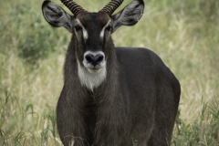 Tanzania_March2018-8160